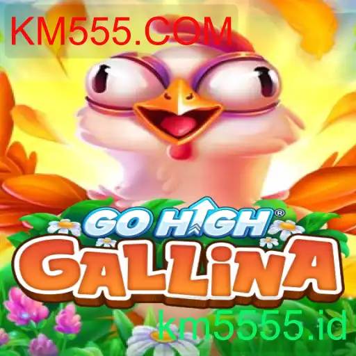 GoHighGallina